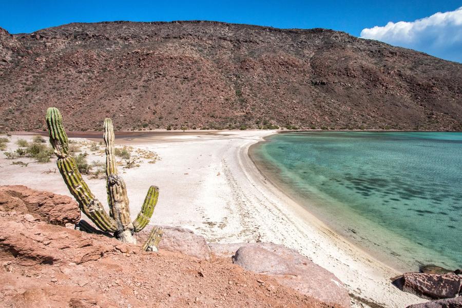 Whether you’re planning around Día de los Muertos, whale watching, or seeing flamingos in Celestún, here’s how to time your Mexico trip