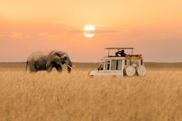 From safari experiences in scenic national parks to relaxing in sleepy coastal towns, Kenya runs wild with endless adventure