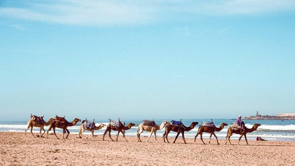 Whether you’re looking to surf up a storm or catch some rays, these Moroccan beaches are sun-soaked faves for travellers