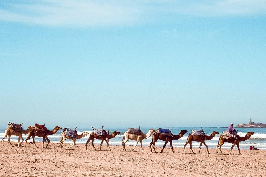 Whether you’re looking to surf up a storm or catch some rays, these Moroccan beaches are sun-soaked faves for travellers