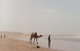 Solo traveller Nicole Todd captures the highlights of Morocco on 35mm film