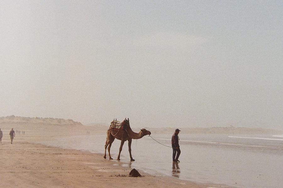 Solo traveller Nicole Todd captures the highlights of Morocco on 35mm film