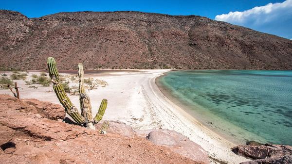 Whether you’re planning around Día de los Muertos, whale watching, or seeing flamingos in Celestún, here’s how to time your Mexico trip