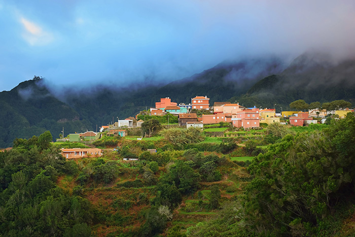 Discover the protected moss and lichen landscapes of Anaga Rural Park