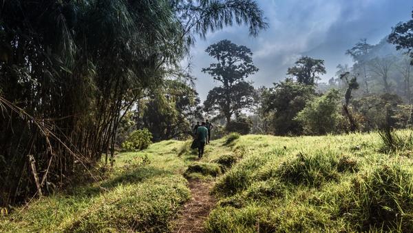 From the mighty Arenal volcano to the wildlife-filled cloud forests of Monteverde — here are the best places to tread fresh ground