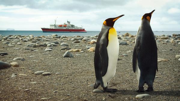 Two Emperor penguins on Salisbury Plains with the G Expedition in the backgroud