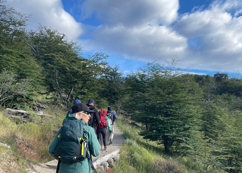 well-prepped Patagonia trekkers head single file into forest lined paths